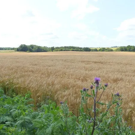 Hotel Korning Kro 3* Korning