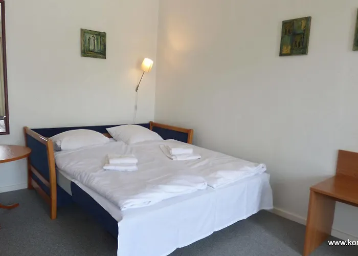 Hotel Korning Kro 3*